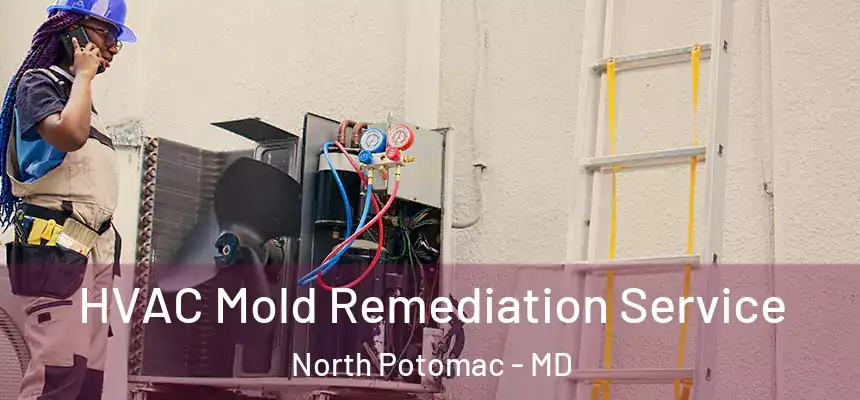  HVAC Mold Remediation Service North Potomac - MD