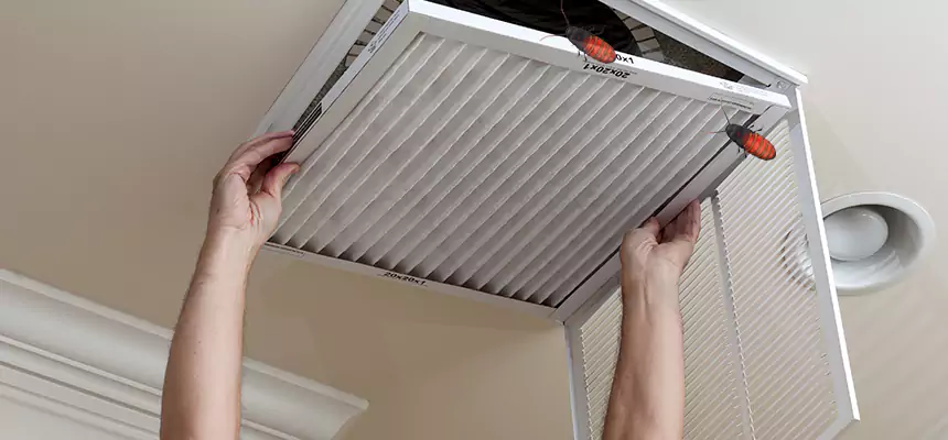 Preventive Cockroach-Proofing for Ducts in North Potomac