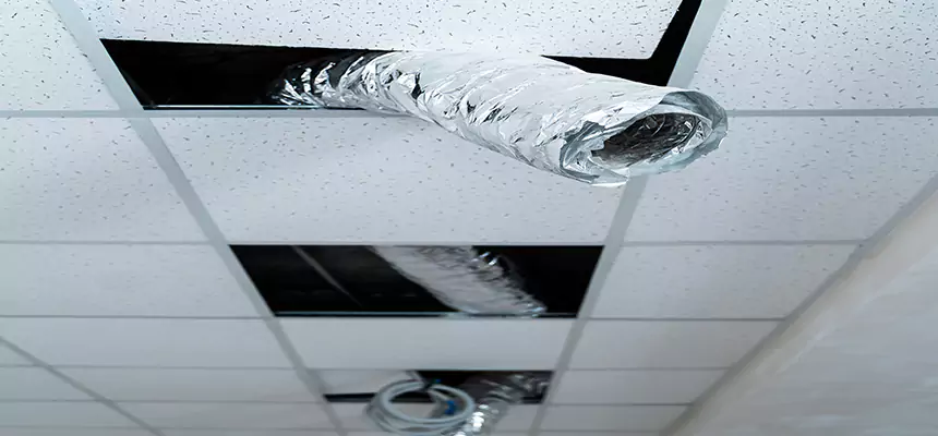 Affordable HVAC Sanitizing After Pest Removal in North Potomac