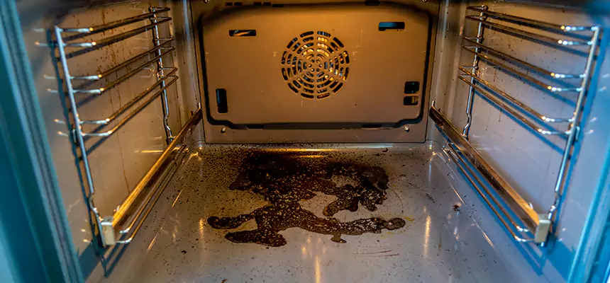 Our Dryer Vent Mold Cleaning Services in North Potomac, MD