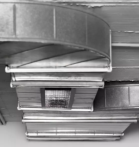 Professional Air Duct Pet Hair Removal in North Potomac, MD