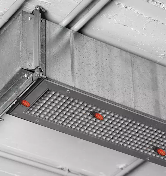 Affordable Insect Removal from Air Ducts in North Potomac, MD