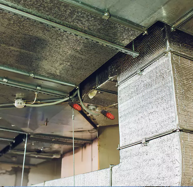 Why Homeowners & Businesses Trust Us in North Potomac, MD?